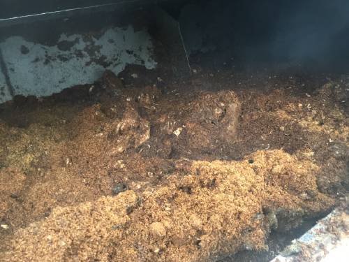 黃金堡-采用微生物降解技術(shù)